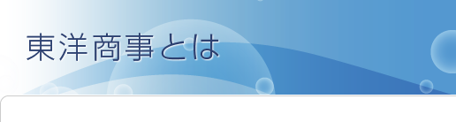 東洋商事とは